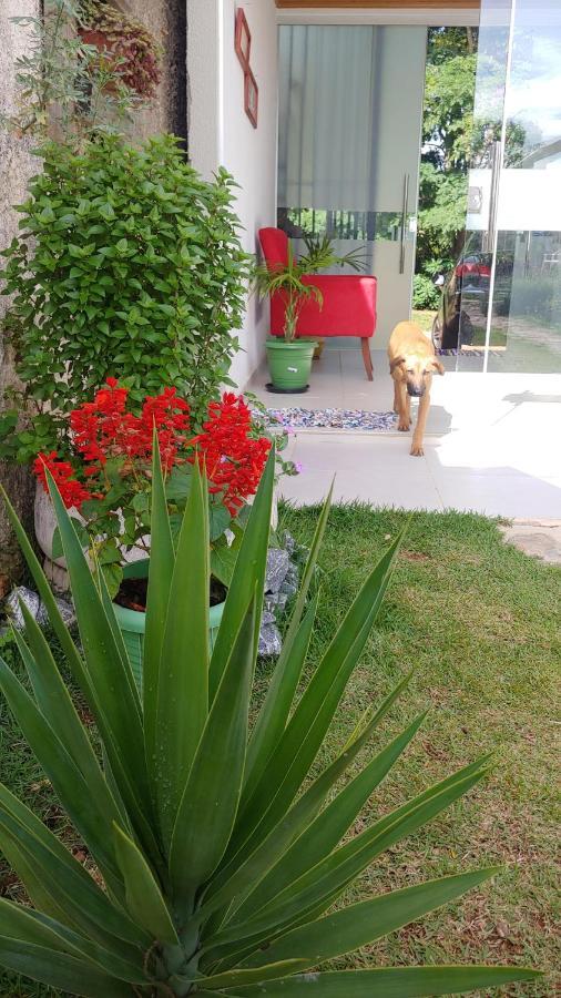 מלון Alto Paraíso de Goiás Casal Ostara Begonia מראה חיצוני תמונה